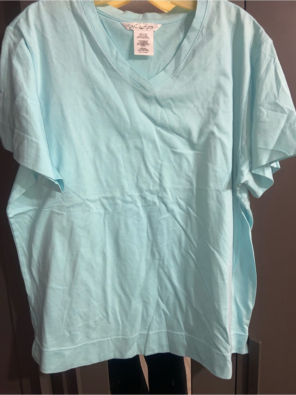 Secret Treasures Aqua V-Neck Tee